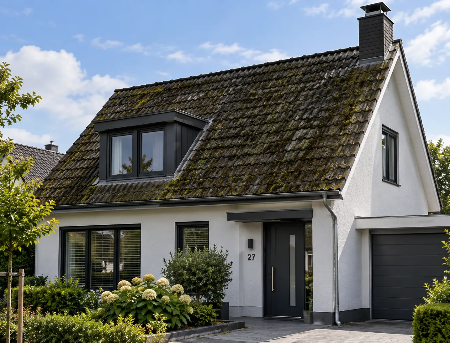 Dak voor dakreiniging - project 1