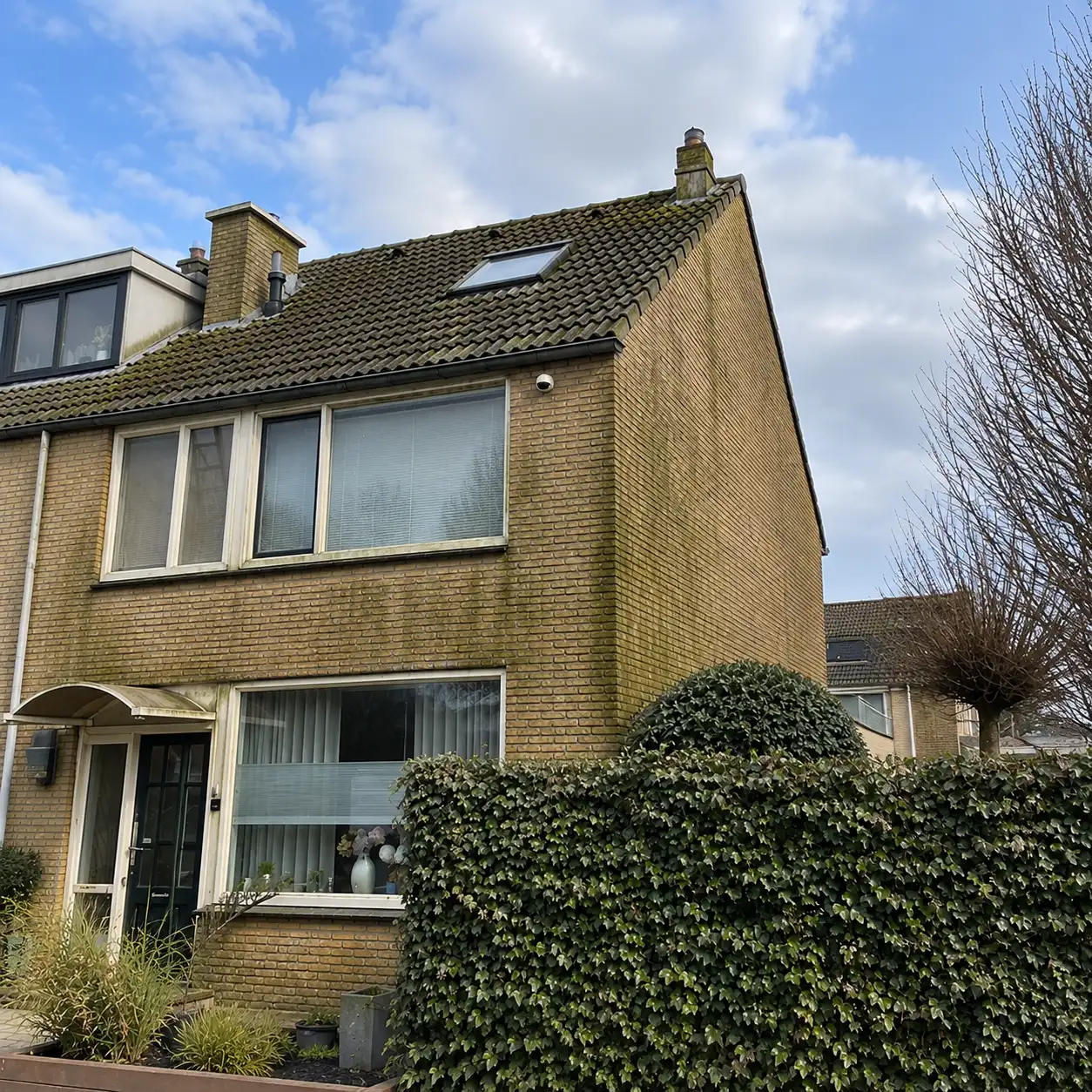 Dak voor dakreiniging - project 9